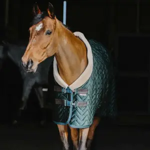Stalldecke aus Samt Equithème Teddy 150 g image-0