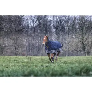 Couverture d'extérieur pour cheval combo Equithème Tyrex 600 D 200 g image-4