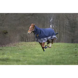 Couverture d'extérieur pour cheval combo Equithème Tyrex 600 D 200 g image-5