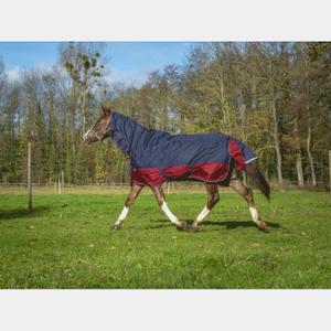 4009364-couverture-d-exterieur-pour-cheval-equitheme-tyrex-1200-d-combo-200g-bleu-marine-rouge-bordeaux