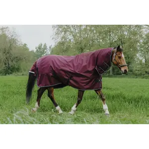 Εξωτερικό κάλυμμα για άλογο Equithème Tyrex 1200D Combo 350g image-2