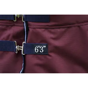 Outdoor-Decke für Pferde Equithème Tyrex 1200D 150g image-2
