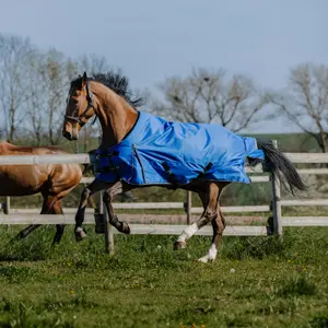 Εξωτερικό κάλυμμα για άλογο Equithème Tyrex Aisance 1200D 150g image-0