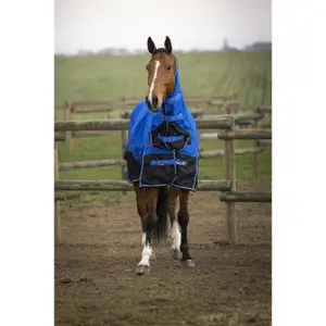Paardendeken Equithème Aisance Combo TYREX 1200D 100g image-1