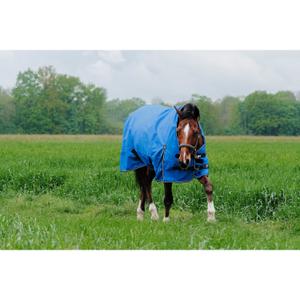 product/e/q/equitheme_400965449_bleu-roi_4.jpg