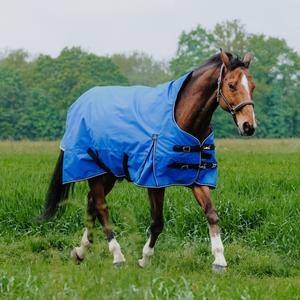 400967449-outdoor-blanket-equitheme-tyrex-aisance-1200d-300g-high-neck-royal-blue