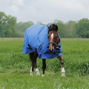 Couverture d'extérieur pour cheval Equithème Tyrex Aisance 1200D 300g High Neck image-2