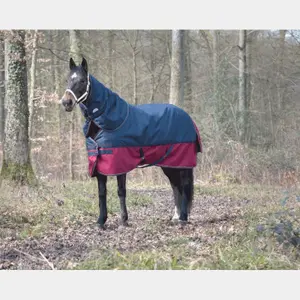 Couvre-cou pour cheval Equithème Tyrex 1200 D image-0