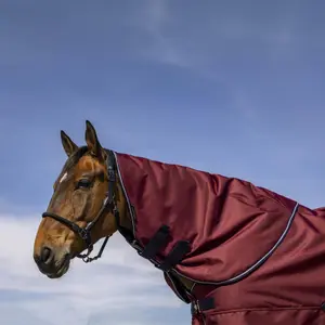 Couvre-cou pour cheval Equithème Tyrex 1200D 200g image-0