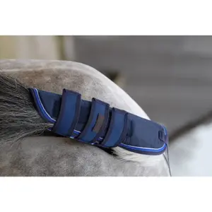 Tail Guard Equithème Classic 1200D image-0