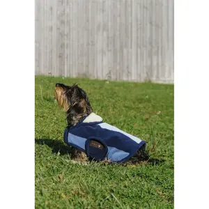 Dog Blanket Equithème New Market image-6