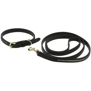 Hundehalsbånd og snor Equithème Max image-0