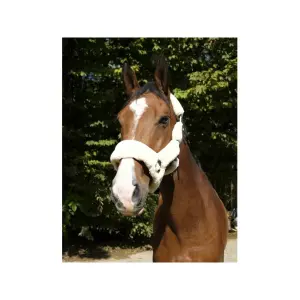 Halter Equithème Teddy image-1
