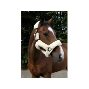 Halter Equithème Teddy image-2