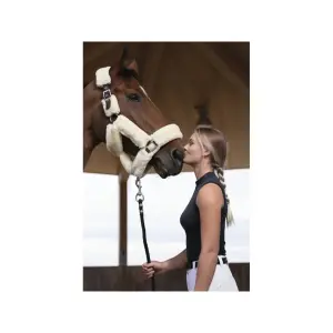 Halter Equithème Teddy image-3