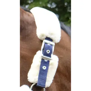Κολάρο Equithème Teddy image-2