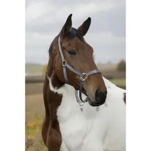 Licol pour cheval Equithème Nylon image-2