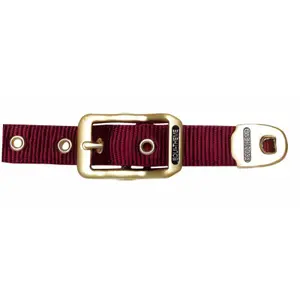 Licol pour cheval Equithème Nylon image-1