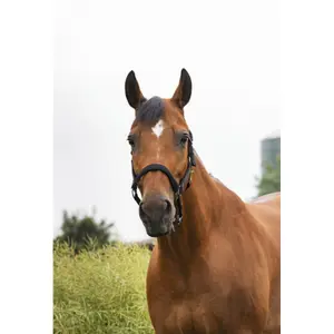 Halfter Equithème Air image-1
