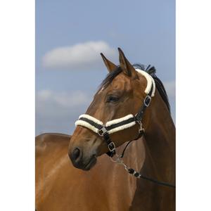 510253006-cabresto-de-nylon-em-pele-de-carneiro-equitheme-azul-real-preto