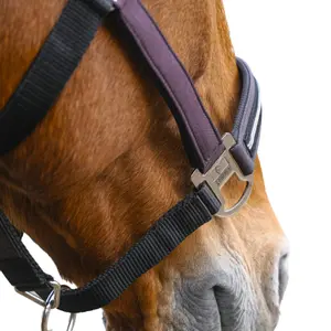 Nylon horse halter Equithème Domino image-1