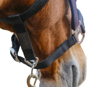 Nylon horse halter Equithème Domino image-2