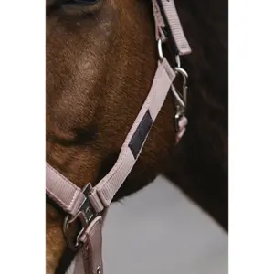Nylon paardenhalster Equithème Spring image-1