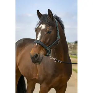 product-sibling