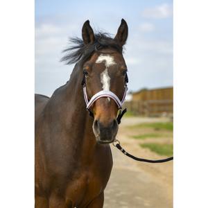 510251273-nylon-check-halter-equitheme-navy-pink