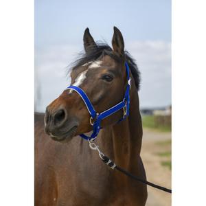 510255206-licol-pour-cheval-en-nylon-equitheme-light-bleu-roi