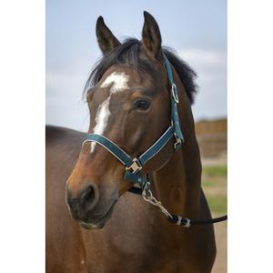 510255209-licol-pour-cheval-en-nylon-equitheme-light-vert-fonce