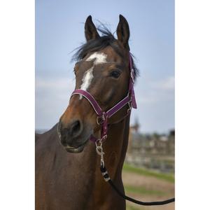 510255233-licol-pour-cheval-en-nylon-equitheme-light-bordeaux