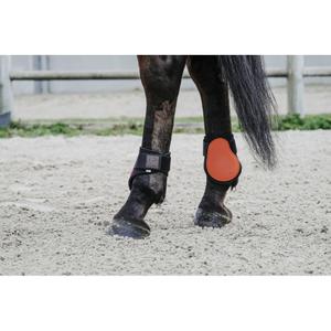 product/e/q/equitheme_530817222_orange_2.jpg