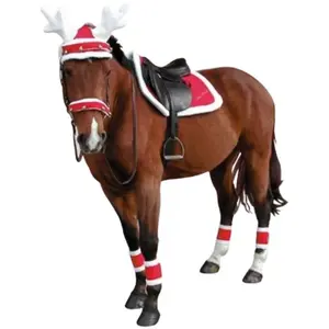 Σέλας για άλογο Equithème Noël image-2