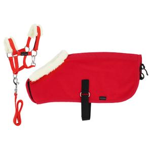 Pferdehalfter mit Pferdehaube Equithème Pony Academy