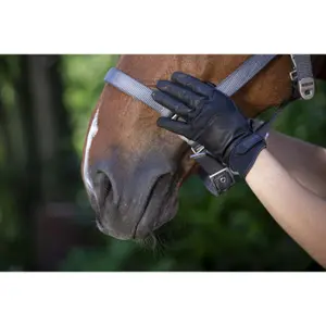 Γάντια Ιππασίας Equithème Soft cuir image-2