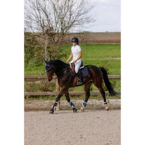 Reitleggings full grip Damen Equithème Flora image-2