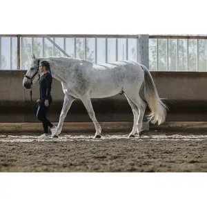 Women's full grip riding leggings Equithème Acacia image-1