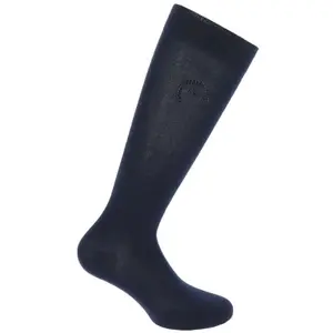 Reitsocken Equithème Logo image-0