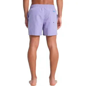 Surf shorts Quiksilver Everyday Volley 15" image-3