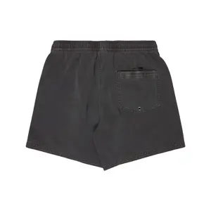Σορτς σέρφινγκ Quiksilver Everyday Surfwash Volley 15" image-2