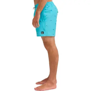 Board shorts Quiksilver Stretch Printed image-4