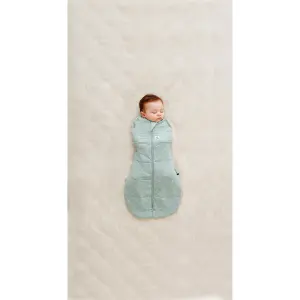 2-in-1 baby sleeping bag ergoPouch Sage 0,2 image-1