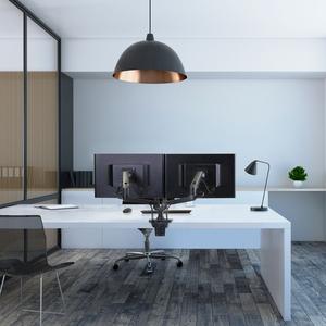 Double bras de montage côte à côte Ergotron LX image-1