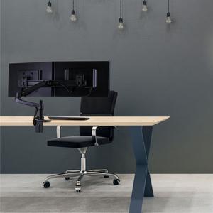 Double bras de montage direct Ergotron LX image-1