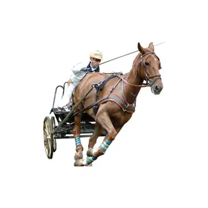 Arnês anatómico Eric Le Tixerant Marathon image-0