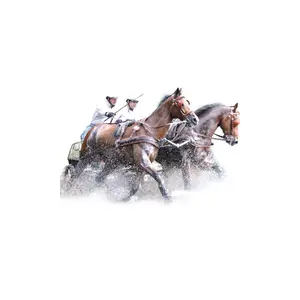 Arnês anatómico duplo Eric Le Tixerant Marathon image-0