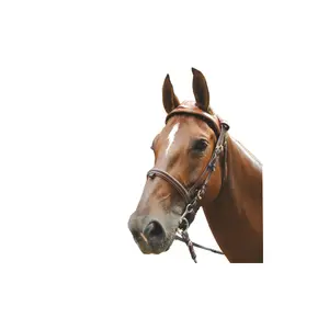 159000-marron-trensen-reiten-eric-le-tixerant-headset-braun-full