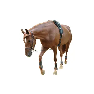 Lanyard Eric Le Tixerant Equilonge