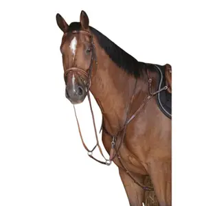 Bridons équitation Eric Thomas Shiny image-2